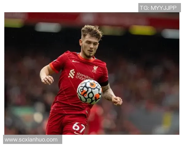 卡托利卡基多对战精彩回顾与分析，揭示比赛背后的战术与亮点