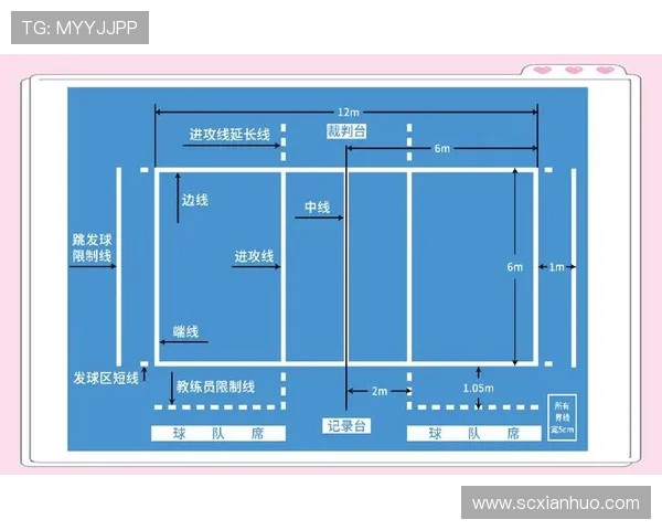 从零起步掌握排球技巧全面指南助你成为排球高手 从零起步掌握排球技巧全面指南助你成为排球高手