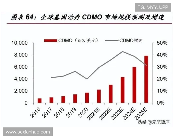 成都篮球队的现状揭秘与未来展望探讨 成都篮球队的现状揭秘与未来展望探讨