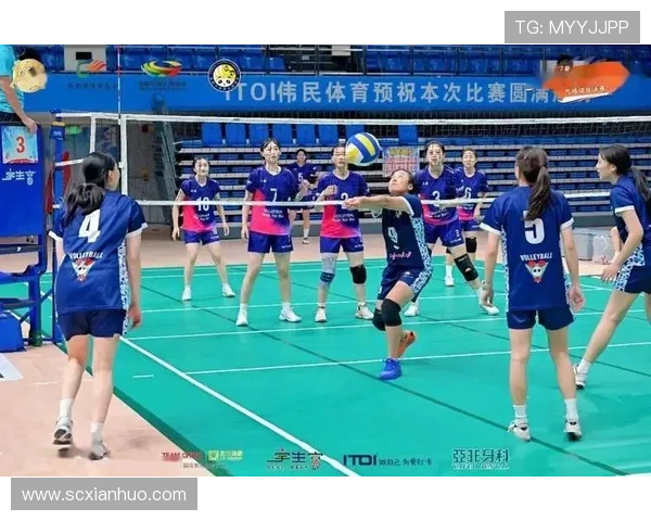 成都排球队逆袭之路揭秘世界锦标赛背后的奋斗与荣耀
