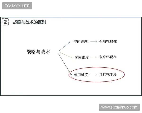 深入分析广州网球队的节奏打法与战术优势探讨