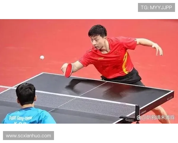 南京排球队耐力表现创新高引发关注全队士气高涨 南京排球队耐力表现创新高引发关注全队士气高涨