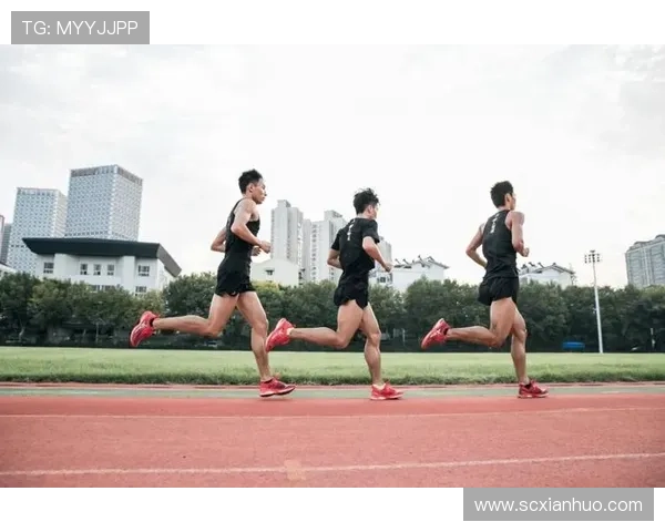 广州乒乓球队耐力提升引发热议助力竞技水平全面提升