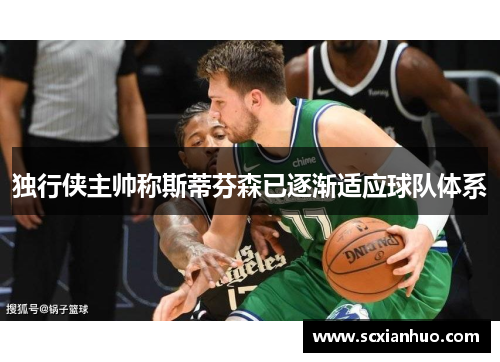 独行侠主帅称斯蒂芬森已逐渐适应球队体系